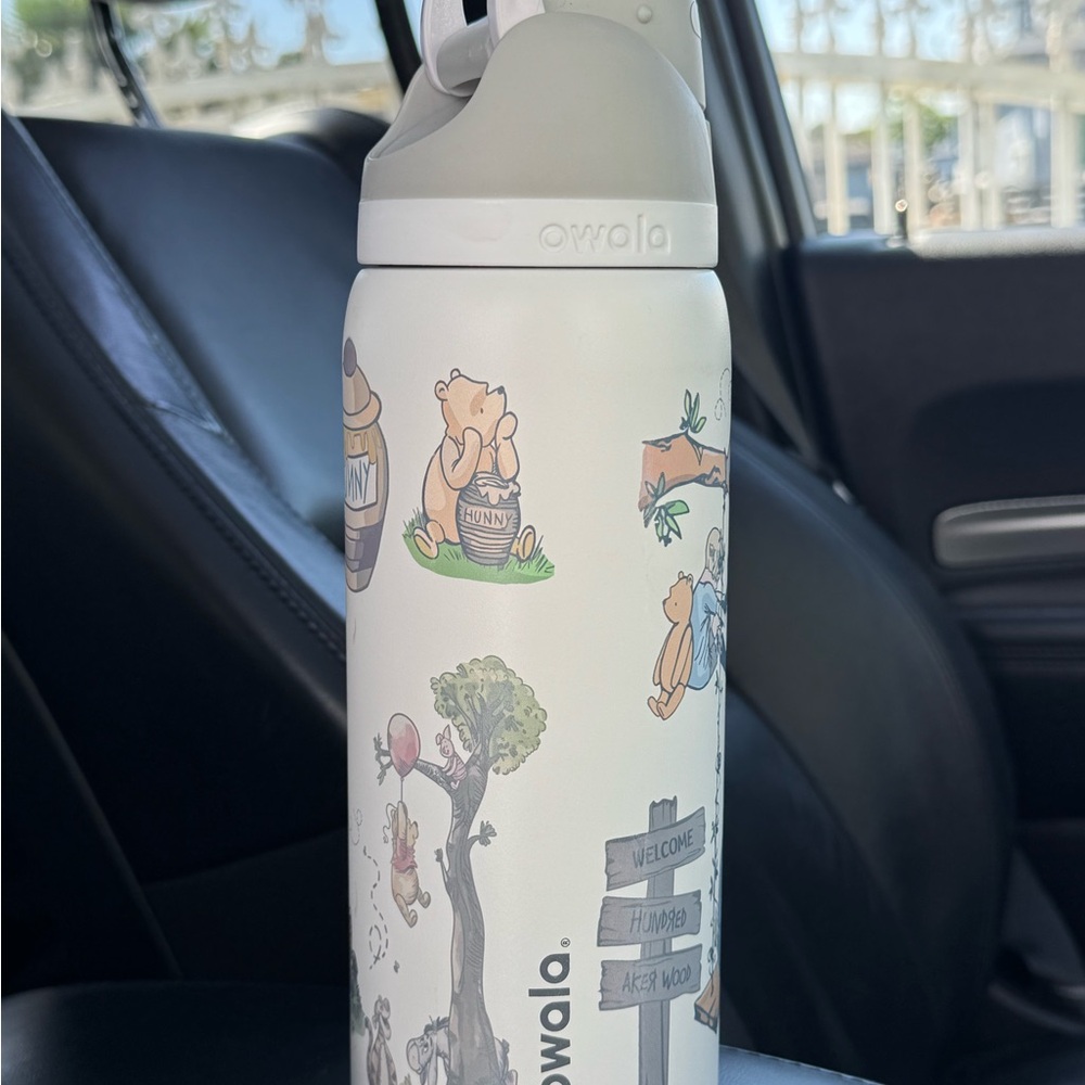 Owala Winnie the Pooh Stainless Water Bottle - White